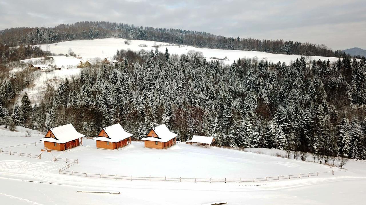 Chatki Niwki U Zboja Kroscienko nad Dunajcem ภายนอก รูปภาพ