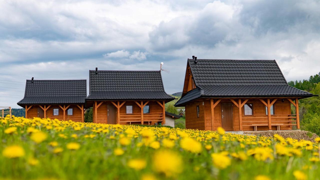 Chatki Niwki U Zboja Kroscienko nad Dunajcem ภายนอก รูปภาพ
